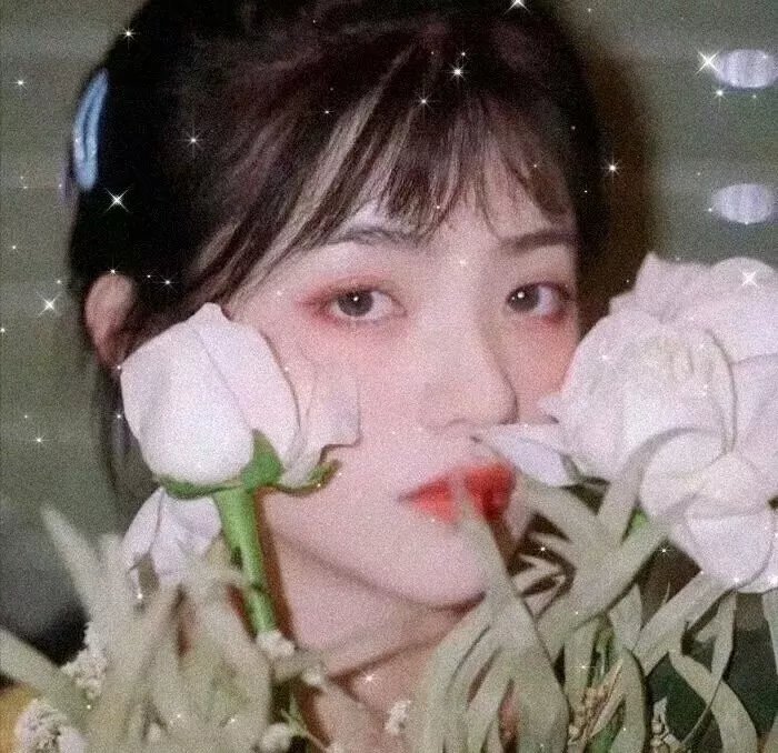 哎咕岛消失的舔甜歌姬